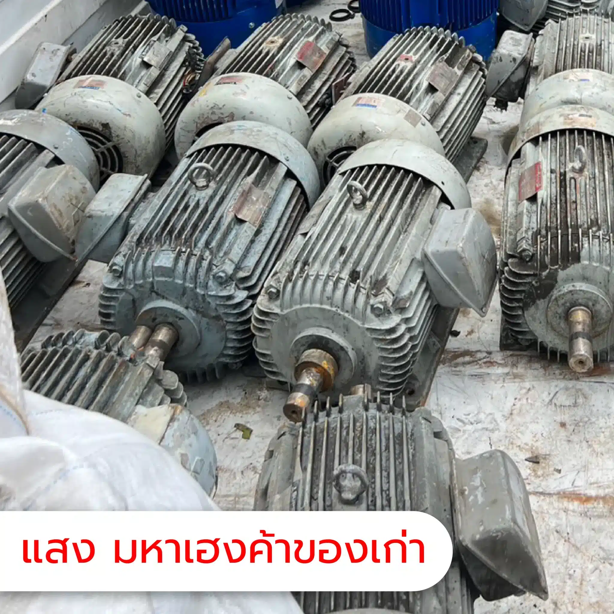 มอเตอร์